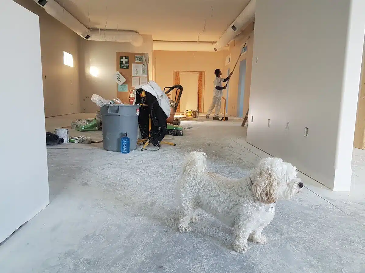 rénovation immobilier